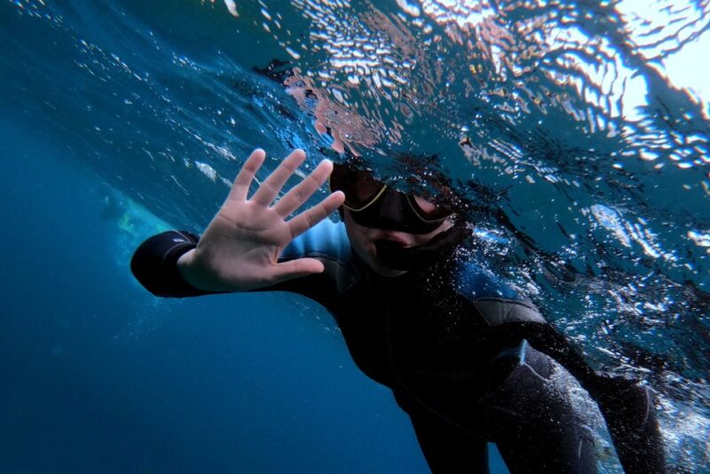 Sao Miguel: Snorkeling Around Vila Franca Do Campo - Included in the Experience