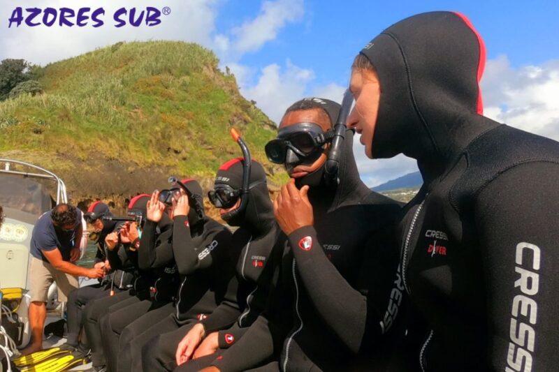 Sao Miguel: Snorkeling Around Vila Franca Do Campo - Highlights of the Tour