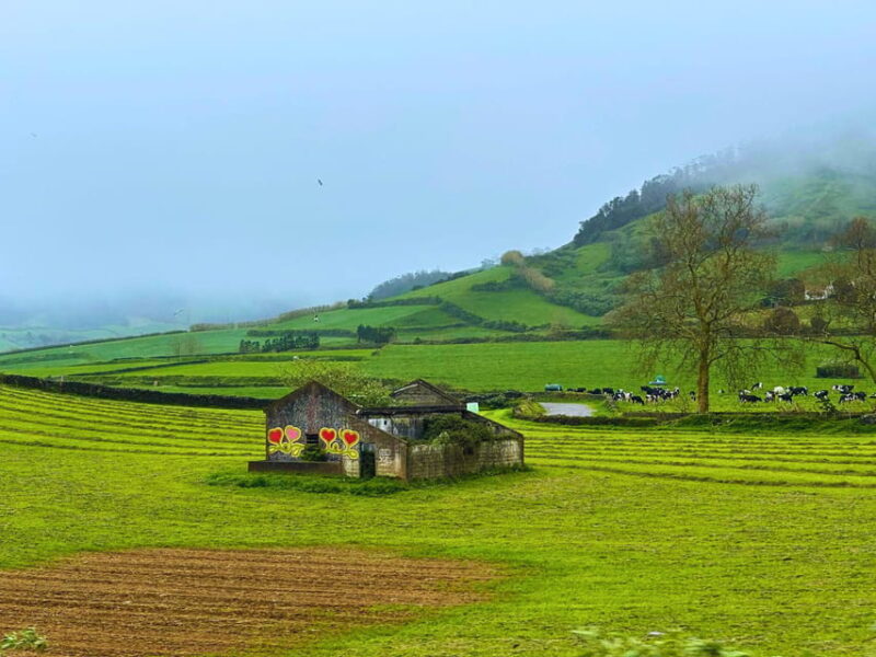 São Miguel: the Majestic North Tour (Waterfalls W/Lunch) - Itinerary Highlights