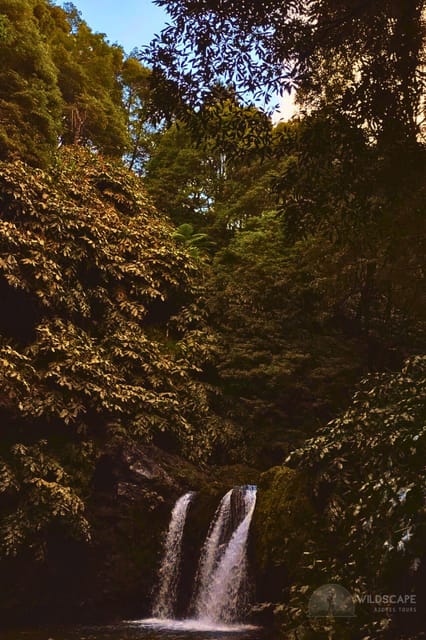 São Miguel: the Majestic North Tour (Waterfalls W/Lunch) - Important Information