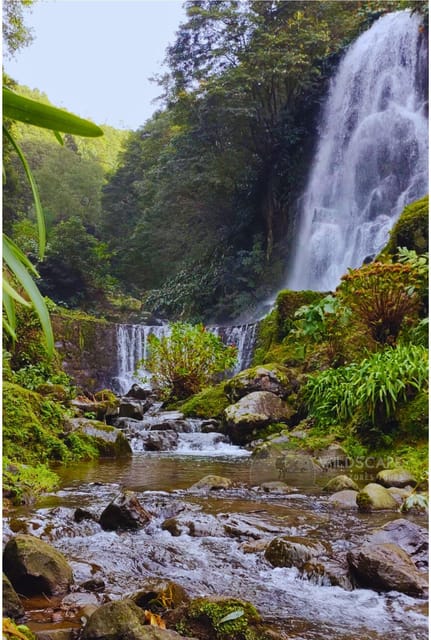 São Miguel: the Majestic North Tour (Waterfalls W/Lunch) - Frequently Asked Questions