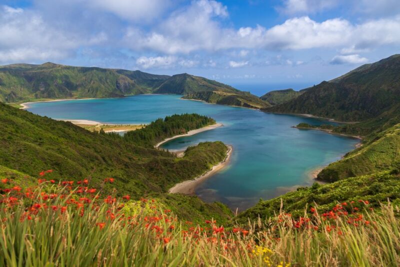 Sao Miguel: Whales & Volcano Full-Day Tour With Lunch - Highlights of the Tour