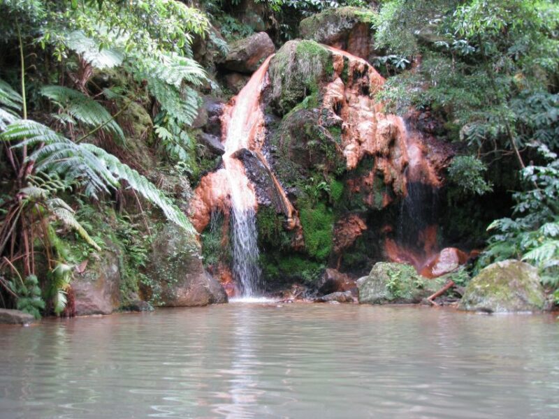 Sao Miguel: Whales & Volcano Full-Day Tour With Lunch - Language and Participant Options