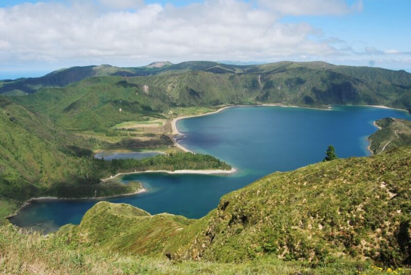 Sao Miguel: Whales & Volcano Full-Day Tour With Lunch - Whales and Dolphins Observation