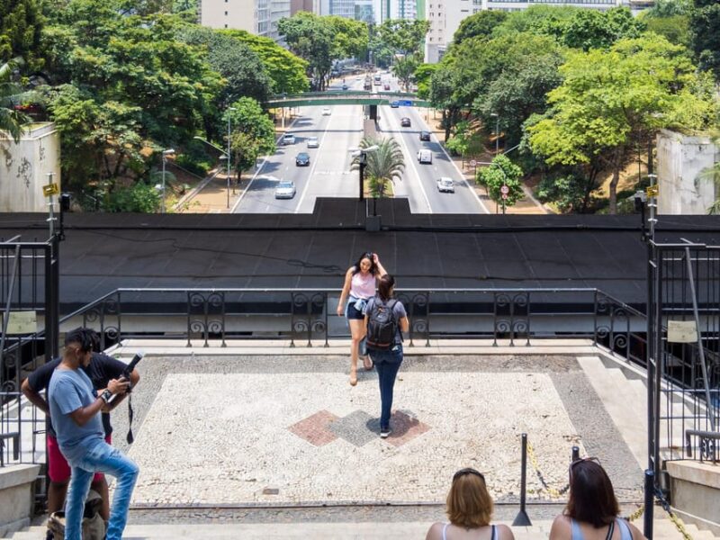 São Paulo: 2 Hour Immersion Walking Tour in Paulista Avenue - Key Points