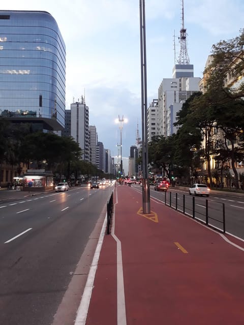 São Paulo: 2 Hour Immersion Walking Tour in Paulista Avenue - Inclusions in the Tour