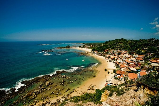 Sao Paulo Airport Transfers: Guarulhos Airport GRU to Sao Paulo in Luxury Van - Professional Driver and Meet Greet