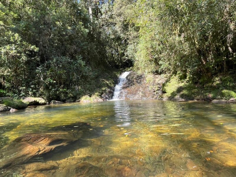 São Paulo: Atlantic Forest Day Trip With a Biologist - Discover Local Flora and Fauna