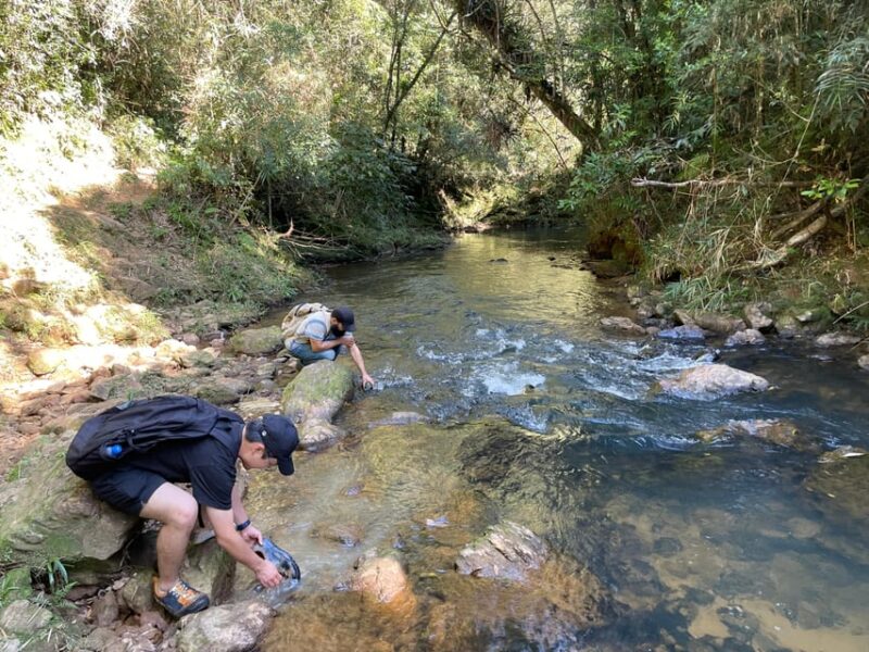São Paulo: Atlantic Forest Day Trip With a Biologist - Hike Through Parque Borocórê