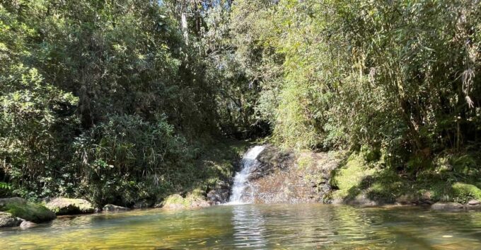 São Paulo: Atlantic Forest Day Trip With a Biologist - Transportation and Inclusions