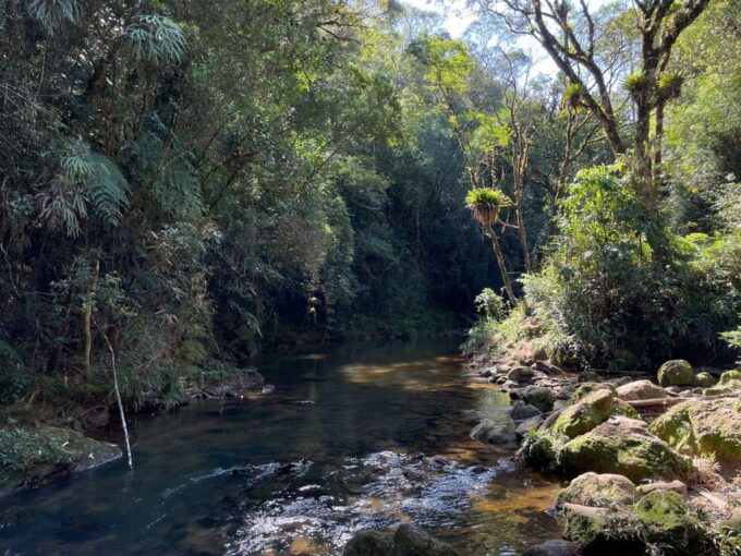 São Paulo: Atlantic Forest Day Trip With a Biologist - Planning Your Ecotour Experience