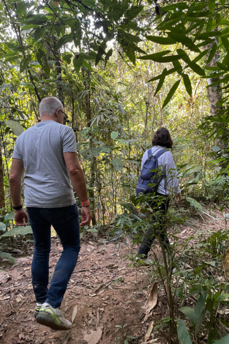 São Paulo: Atlantic Forest Day Trip With a Biologist - Frequently Asked Questions