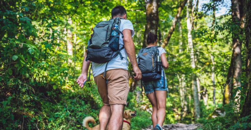 São Paulo: Atlantic Forest Hike in Jaragua Park With Picnic - Key Points