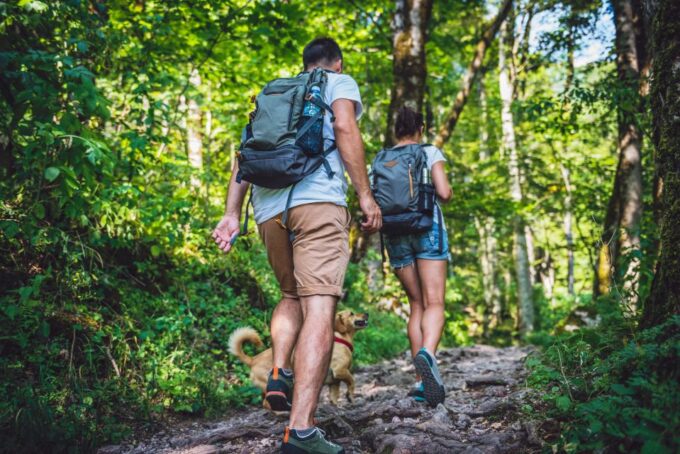 São Paulo: Atlantic Forest Hike in Jaragua Park With Picnic - Picnic and Views