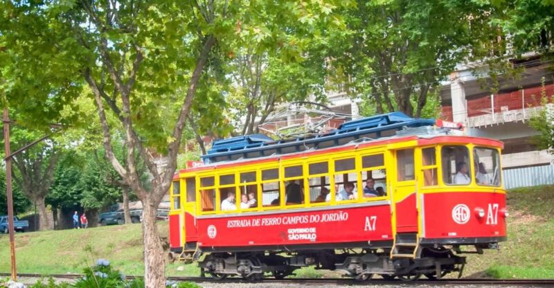 São Paulo: Campos Do Jordão - the Brazilian Switzerland Tour - Key Points
