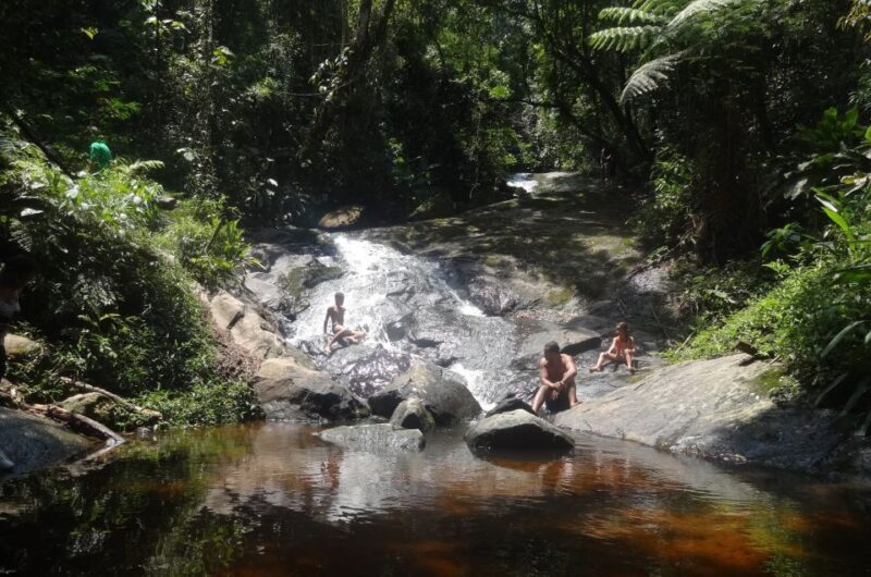São Paulo: Cantareira Natural Park Hiking in the Rain Forest - Historical Water Supply System