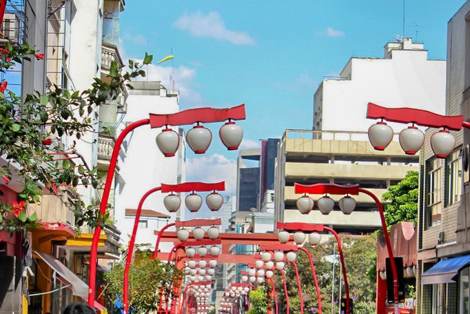 São Paulo City: 5-Hour Private Tour - Key Attractions Explored
