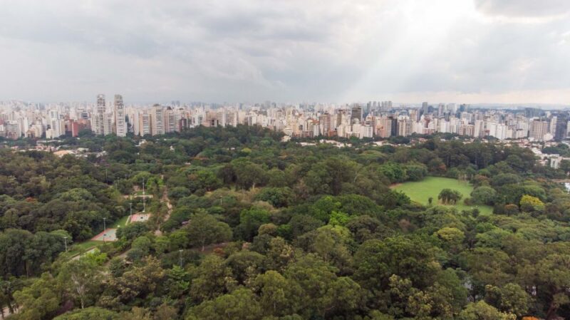 Sao Paulo City Tour - Cultural Attractions and Landmarks