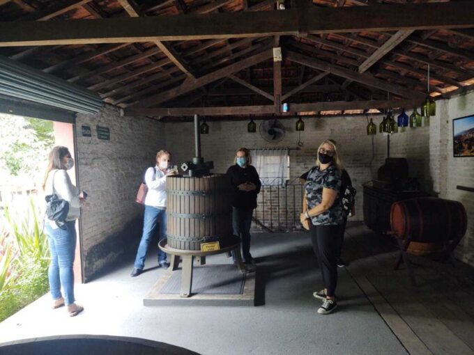 São Paulo: Full-Day Private Wine Tour in São Roque - Itinerary Overview