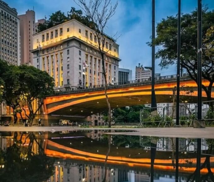 São Paulo: Highlights Walking Tour With A Guide - Martinelli Building