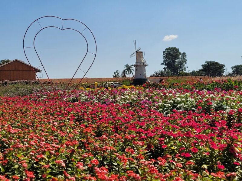 São Paulo: Holambra Colorful Flower Farm Guided Day Trip - Highlights of the Day