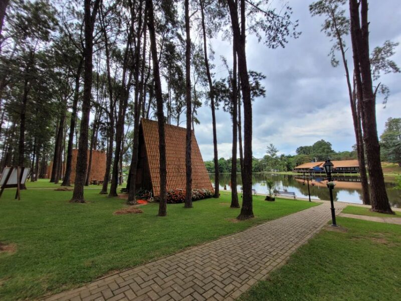 São Paulo: Holambra Colorful Flower Farm Guided Day Trip - Flower Farm Visit