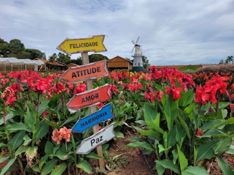 São Paulo: Holambra Colorful Flower Farm Guided Day Trip - Inclusions and Exclusions