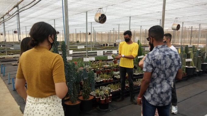 São Paulo: Holambra Colorful Flower Farm Guided Day Trip - Frequently Asked Questions