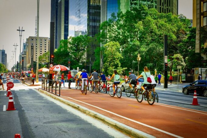 São Paulo: Layover Private Tour From GRU Airport - Ibirapuera Park and Municipal Market