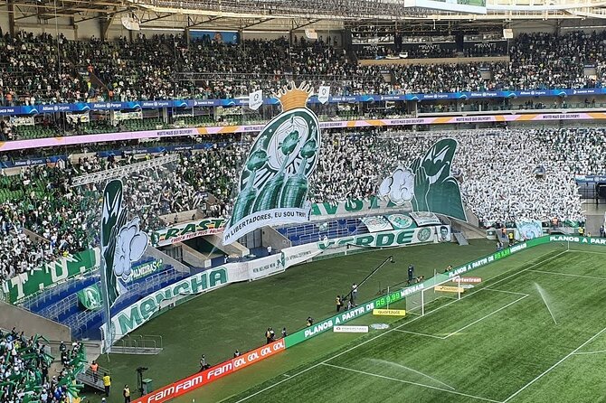 São Paulo: Palmeiras Game Experience With Local - Accessibility and Physical Fitness