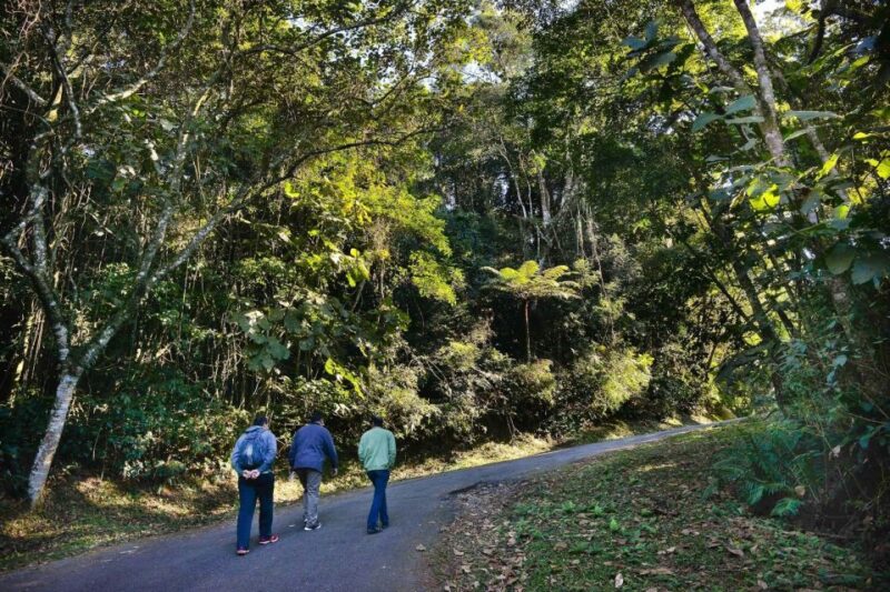 São Paulo Private Half Day Ecotour - Trail Options