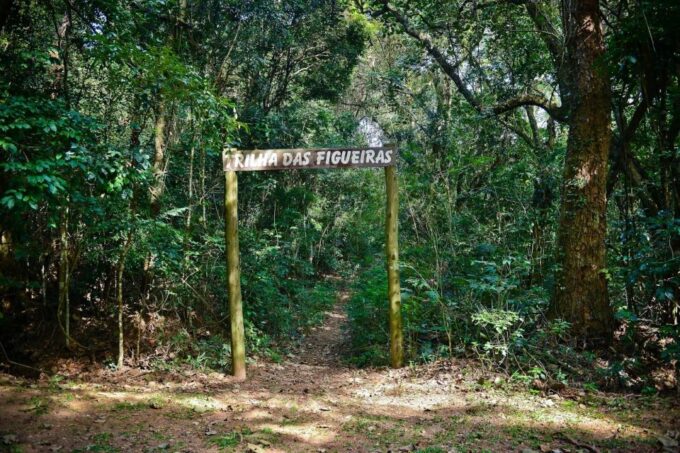 São Paulo Private Half Day Ecotour - Booking and Reservations
