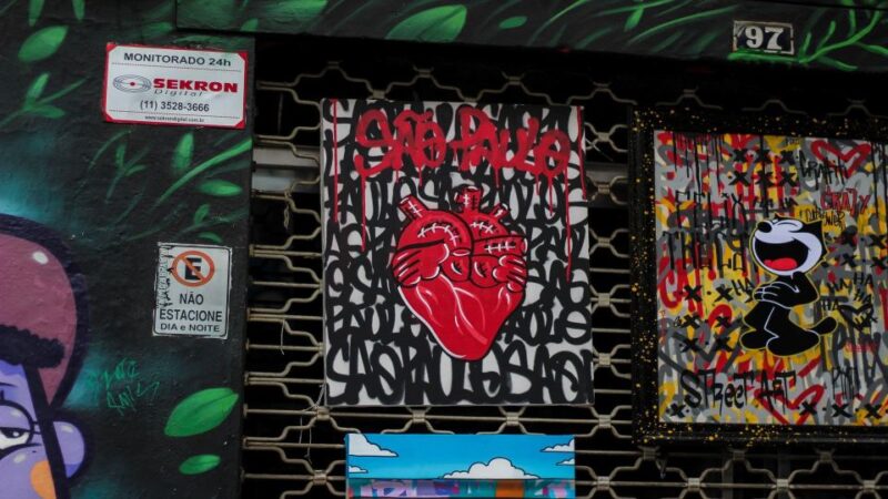 São Paulo: Street Art Private Tour - Vibrant Murals and Graffiti
