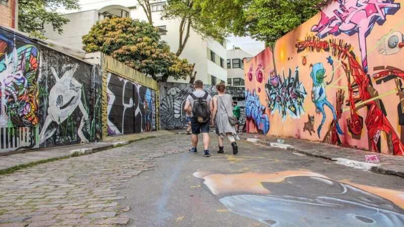 São Paulo: Street Art Private Tour - Captivating Scenes in Parque Do Ibirapuera
