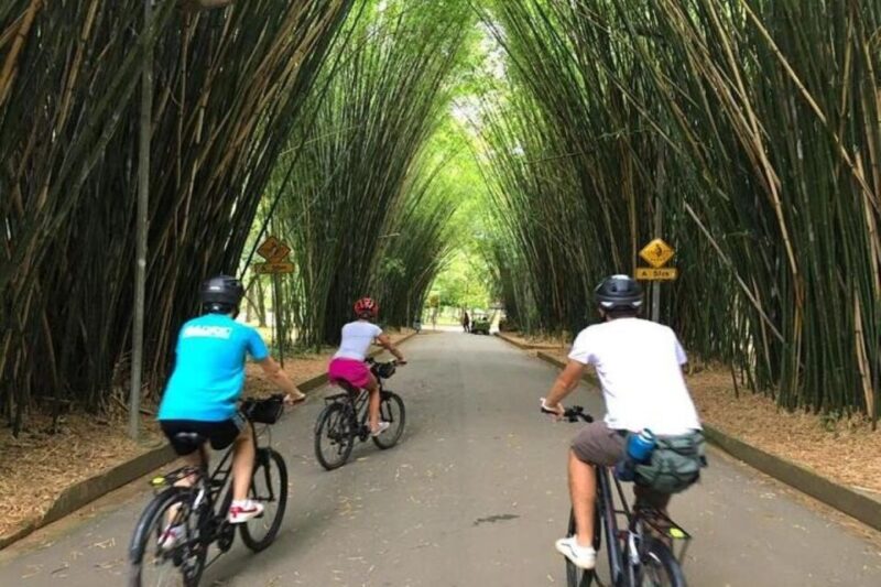 Sao Paulo: The Coolest Urban Scenes Bike Tour - Key Points