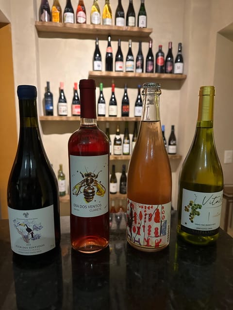 São Paulo: Wine Tasting With an Expert - Curated Wine Selection for Exploration