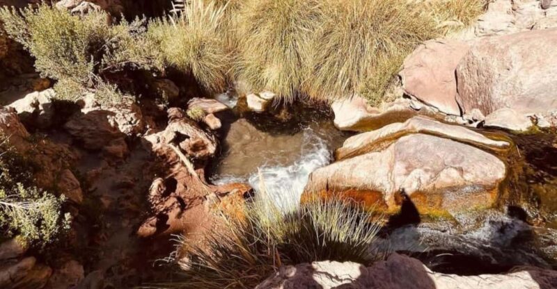 Sao Pedro De Atacama, Hidden Waterfalls Trekking - Pricing and Duration