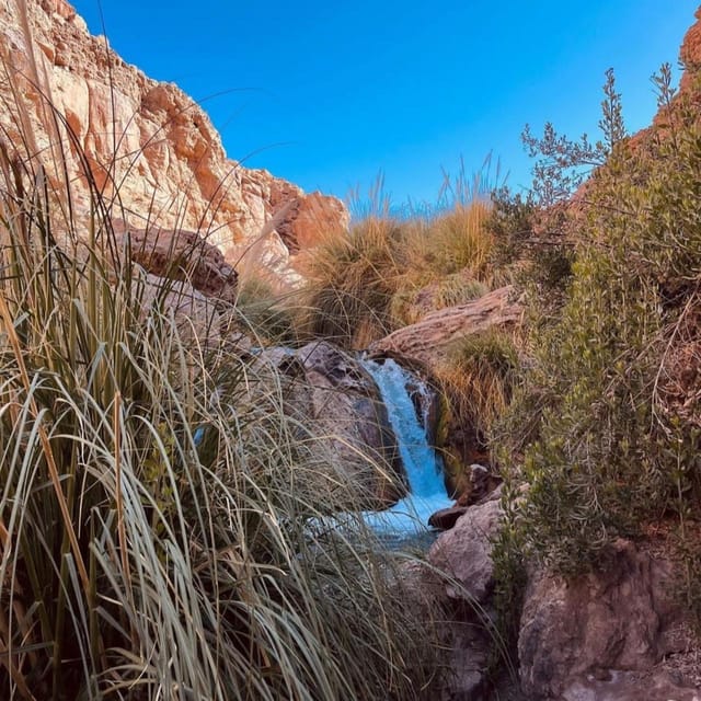 Sao Pedro De Atacama, Hidden Waterfalls Trekking - Group Size and Languages