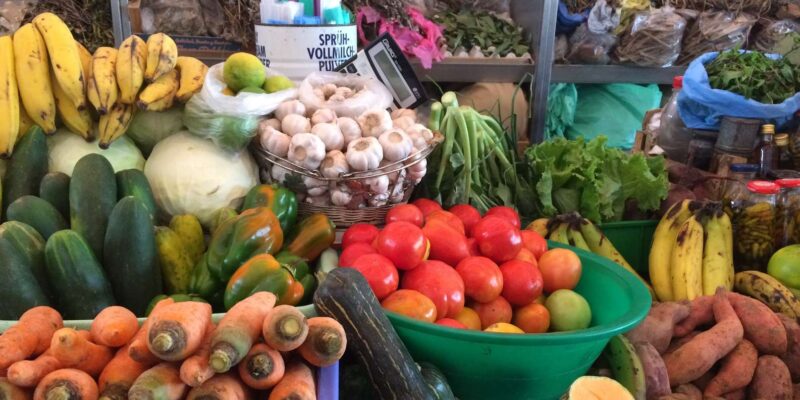 Sao Vicente, Full Day, Highlights, Including Lunch by Local Cook - Discover Fishing and Farming