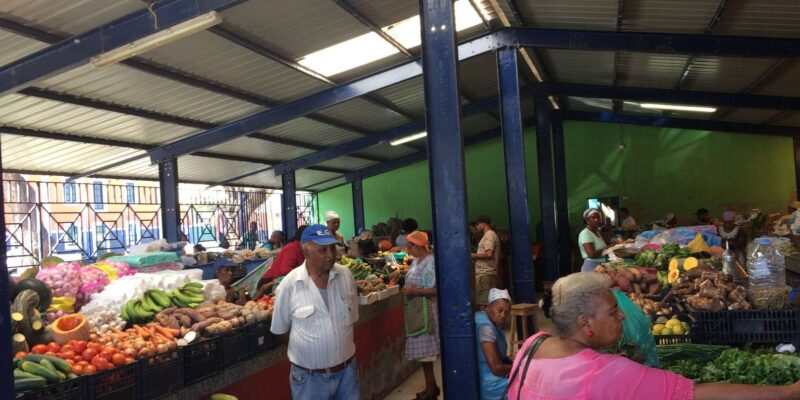 Sao Vicente, Full Day, Highlights, Including Lunch by Local Cook - Swim at Baía Das Gatas