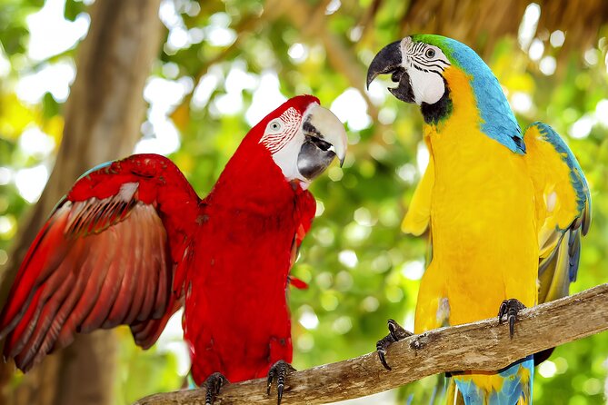 Saona and Mano Juan Private Tour by Speedboat From Punta Cana - Tour Overview