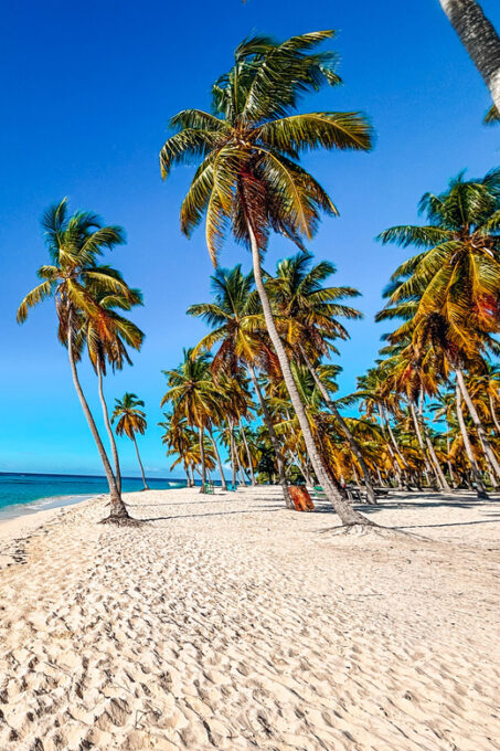 Saona Crusoe VIP - Tour Duration and Cancellation