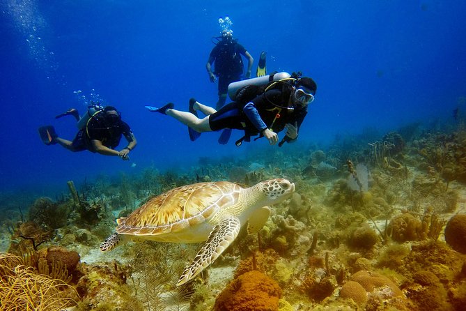 Saona Diving - About Your Stay
