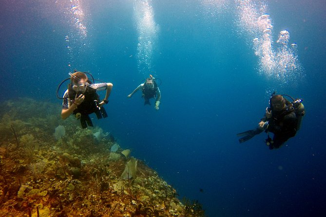 Saona Diving - Tour Inclusions and Exclusions