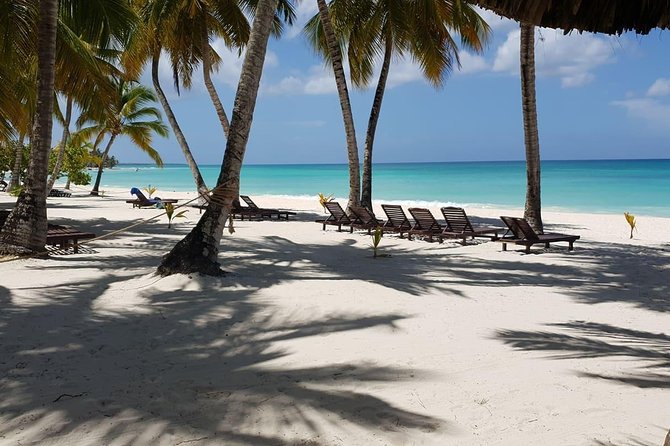 Saona for Cruiseship Passengers - Overview of Saona Island Experience