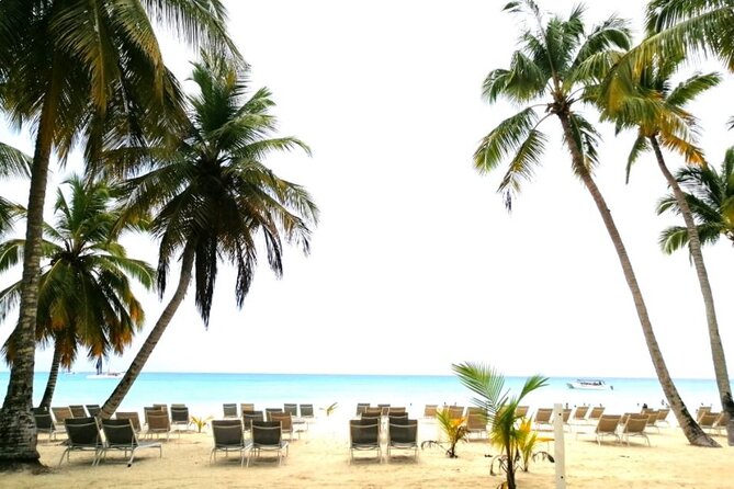 Saona for Cruiseship Passengers - Efficient Use of Limited Time