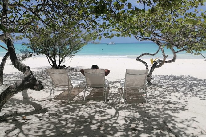 Saona for Cruiseship Passengers - Included Amenities and Services