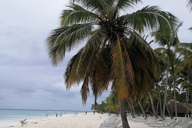 Saona for Cruiseship Passengers - Pickup and Transportation Details