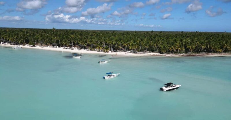 Saona Full Day Cruise With Food and Drinks - Key Points