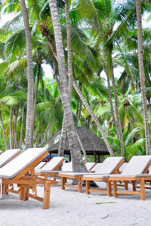 Saona Full Day Cruise With Food and Drinks - Itinerary and Experience